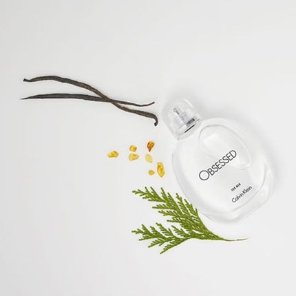 Calvin Klein Obsession For Men Eau de Toilette - 75ml
