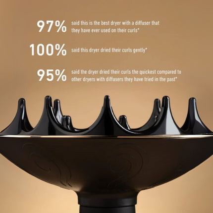 Curlsmith Defrizzion Hair Dryer