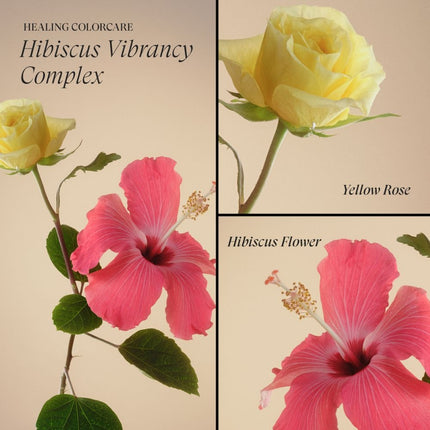 LANZA Healing ColorCare Color-Preserving Conditioner - 250ml