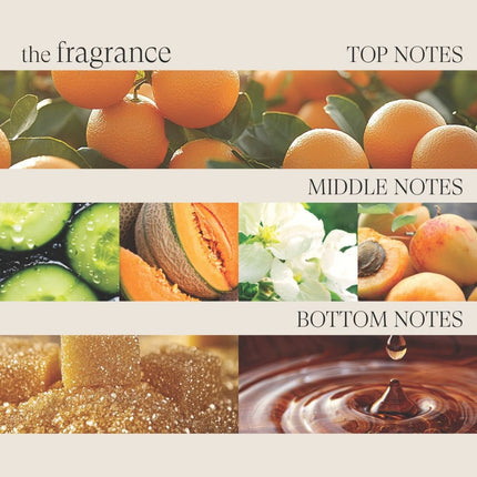 LANZA Healing Strength Manuka Honey Conditioner - 250ml