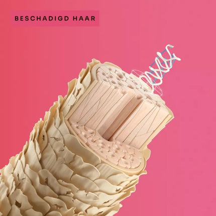 Schwarzkopf R-Two Prepare + Renew Set - 400+145ml