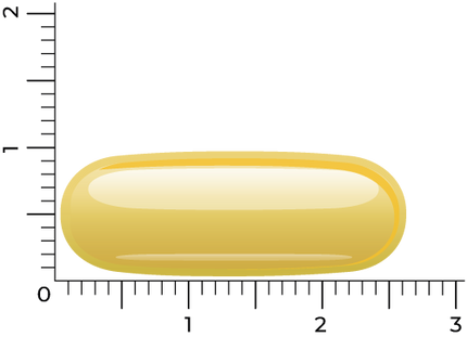 Vitakruid Visolie 1400 TG® Sport met D3 - 90st