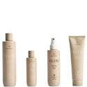Metamorphose Volume