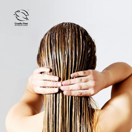 Color WoW Color Security Conditioner Normal to Thick Hair