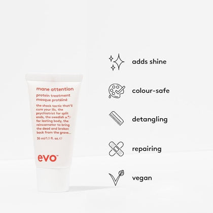 EVO Mane Attention Protein Treatment