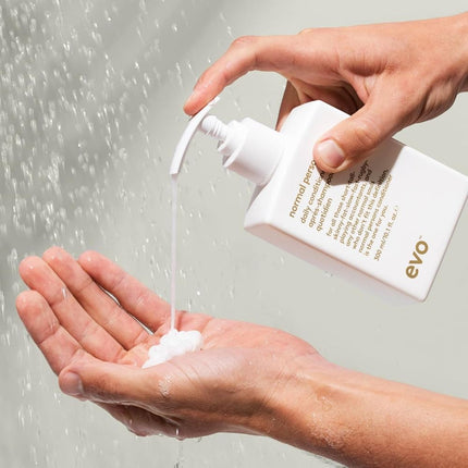 EVO Normal Persons Conditioner