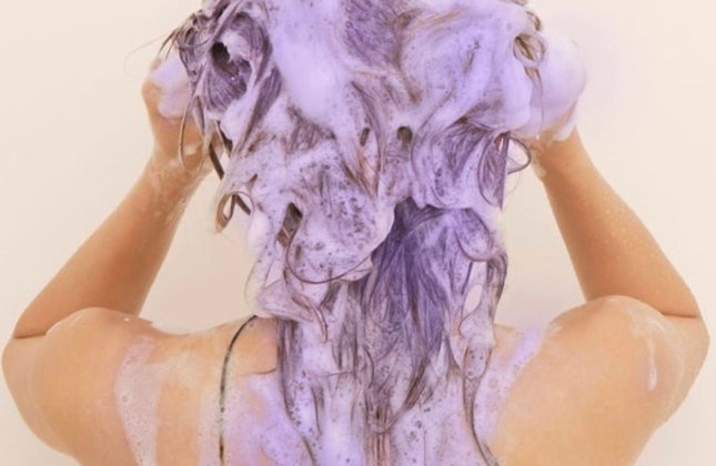 Fanola No Yellow Shampoo