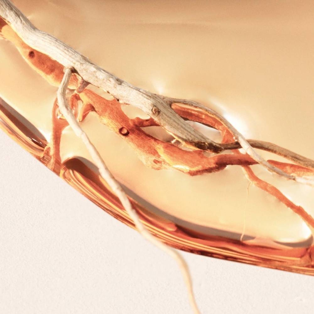Hugo Boss Alive Intense Eau de Parfum - 30ml