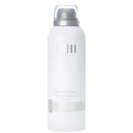 Janzen Deodorant Spray Grey 04 - 150ml