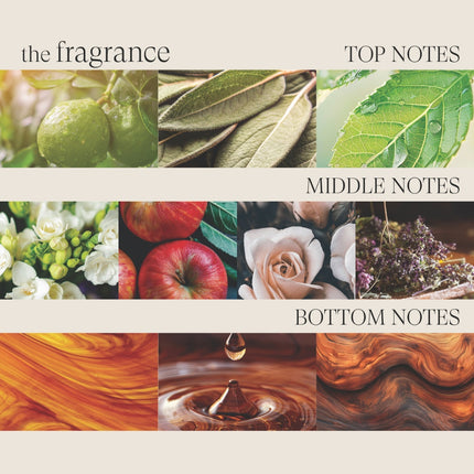 LANZA Healing Style Dramatic F/X - 350ml