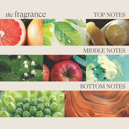 LANZA Healing Volume Thickening Treatment - 100ml