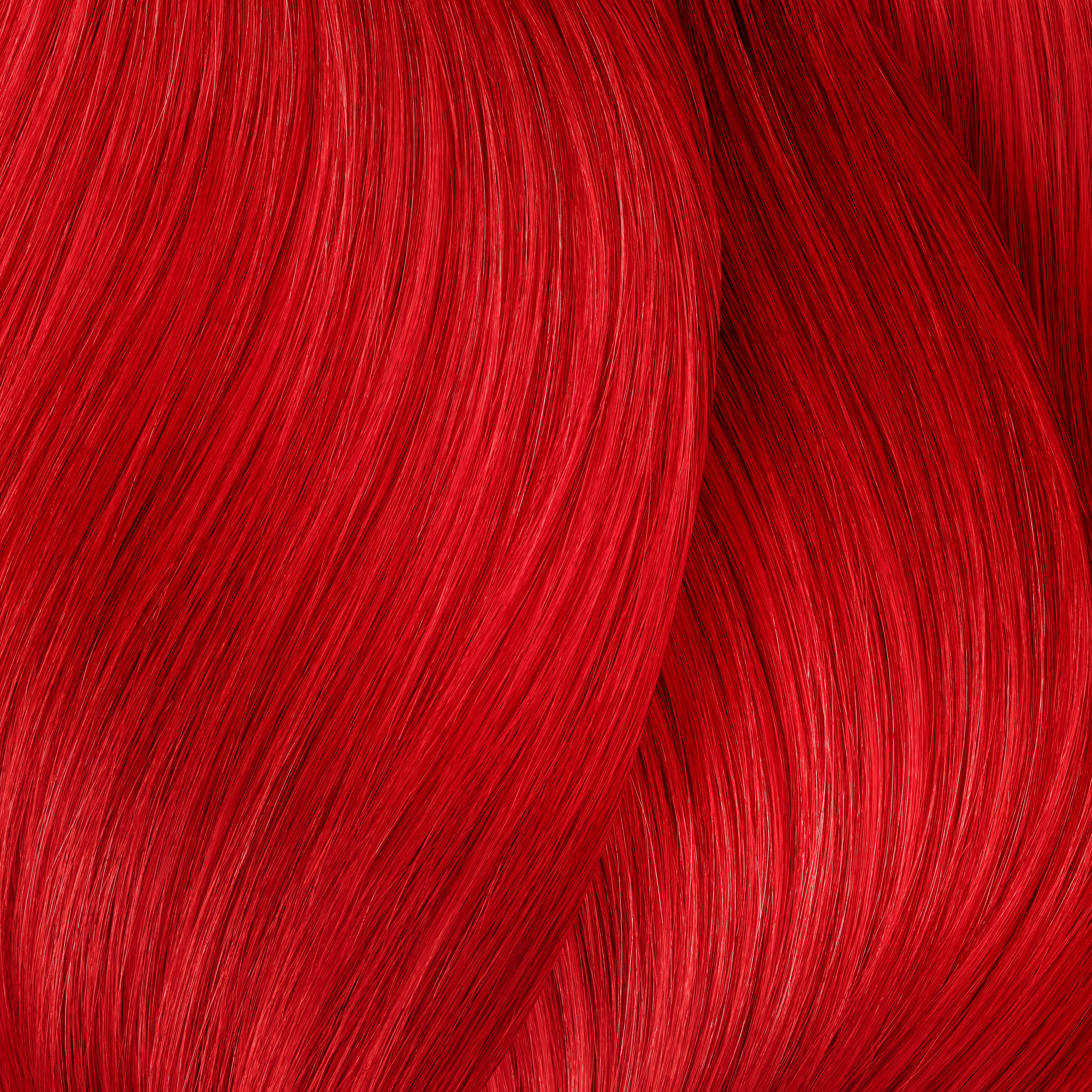 Rot