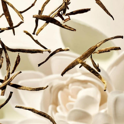 Rituals Karma Colour Protection Shampoo - 250ml