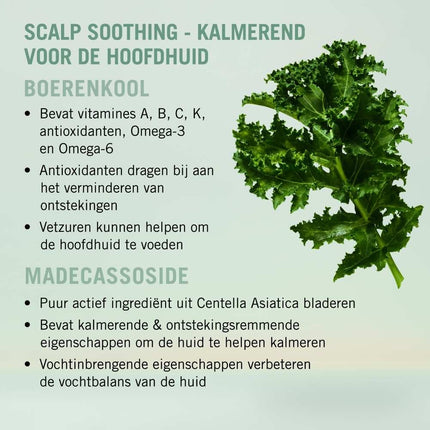 Schwarzkopf BC Scalp Care Soothing Shampoo - 1000ml