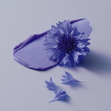 Schwarzkopf BlondMe Bond Repair Purple Shampoo