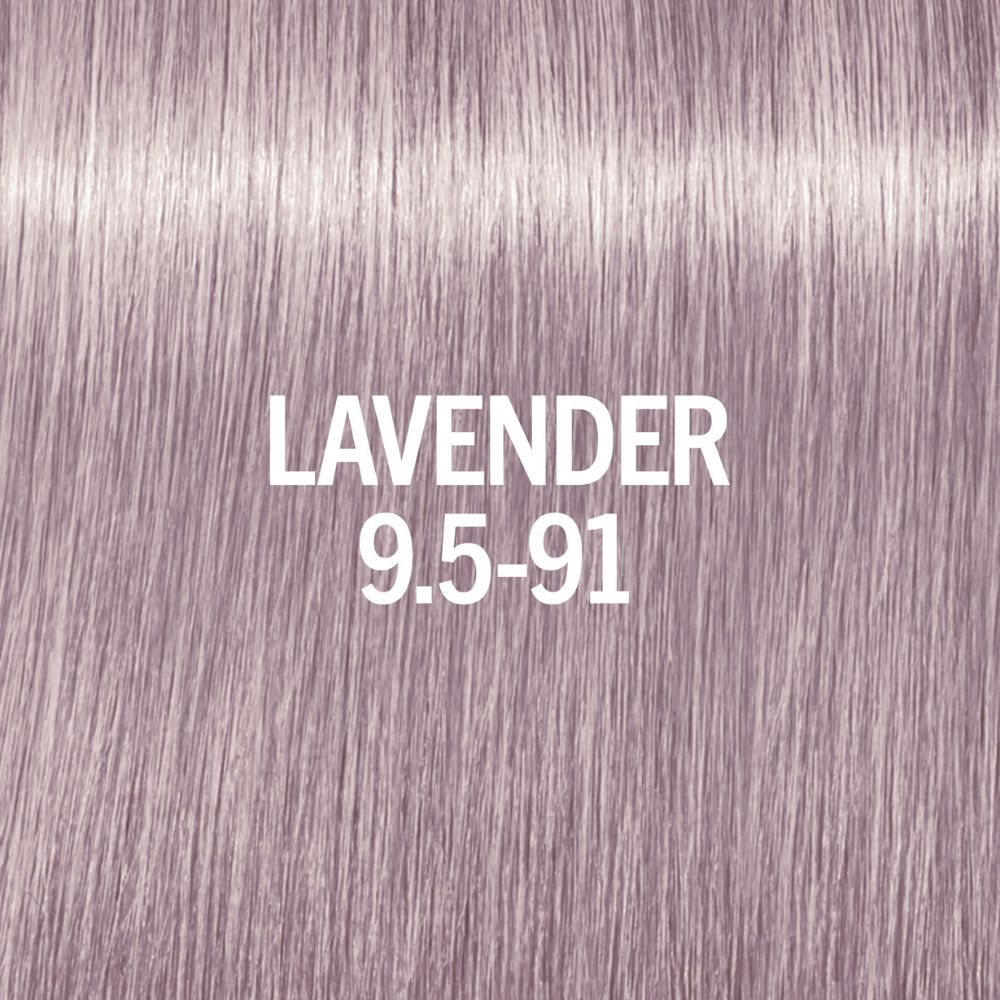 Lavendel