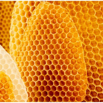 Weleda Everon Lippenbalsem - 4.8g