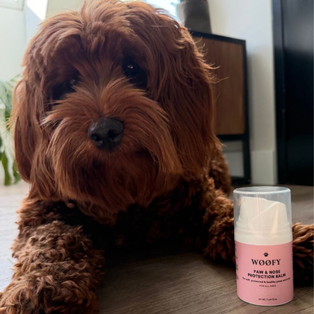 WØØFY Paw & Nose Protection Balm - 50ml