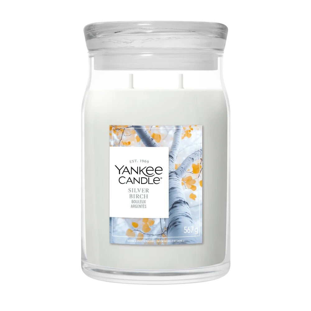 Yankee Candle Silver Birch Large Jar - 567gr